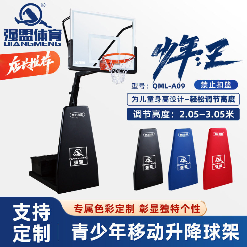 强盟青少年升降式篮球架可移动儿童比赛训练专用工厂直销