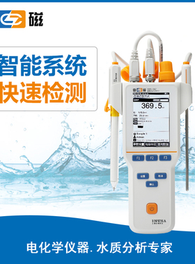 上海雷磁 YHBJ-262便携pH/ORP计501 ORP电极T-818-Q温度462mV试剂