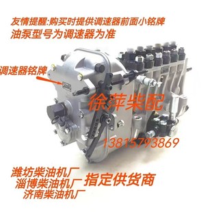 淄柴6170柴油机高压油泵Z6170柴油泵BHT6P9泵龙口龙泵燃油公司