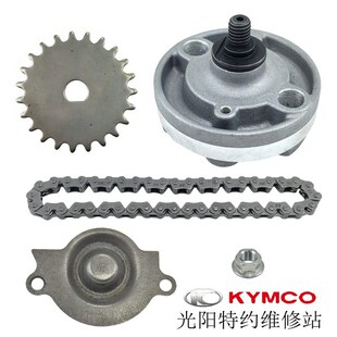 光阳原厂 劲丽 锋丽 弯道情人ACC LIKE180 动丽 豪迈 机油泵 链条