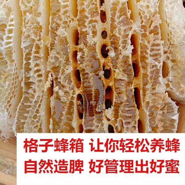 德国进口蜜蜂箱子中蜂格子箱杉木箱子蜜蜂蜂箱养蜂工具内径27.5cm