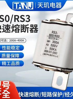 快速熔断器RS3/RSO RS0-300 250A 350A 400A陶瓷保险芯快速保险丝