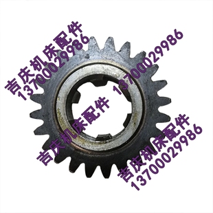 磨齿齿轮Z24 沈阳中捷镗床TPX6111B 25347 镗床配件 M2.5 TPX619B