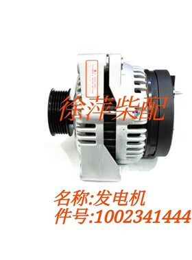 1002341444发电机WD615 WD618 WD10 WD12交流发电机AVi128E3004-E