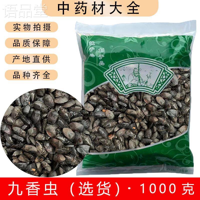 安国中药材市场批 发无硫九香虫选货不含油正品打屁虫 屁巴虫包邮