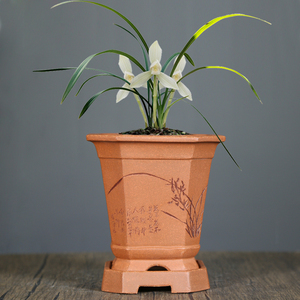 精品花盆宜兴紫砂花盆降坡泥四方刻绘带托盆景盆兰花盆春兰建兰盆