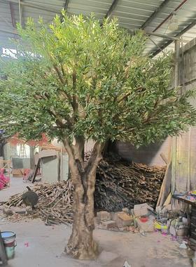 树脂工艺品异形橄榄树 玻璃钢橄榄树仿真树 大型工程酒店家居装饰