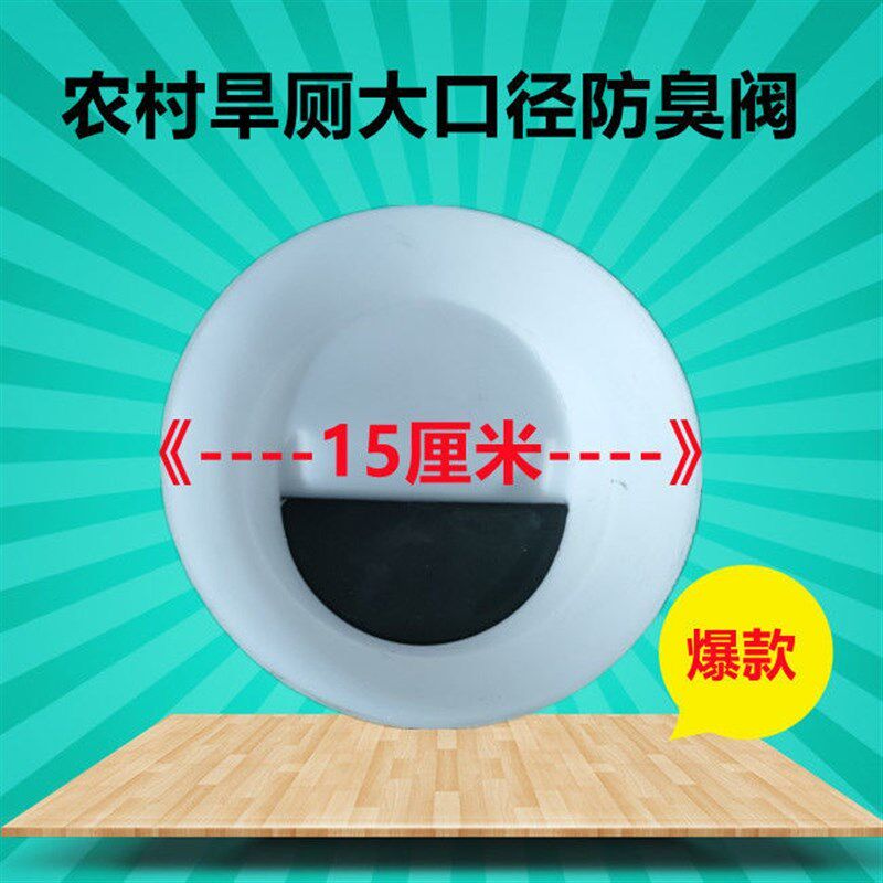 农村旱厕蹲坑防臭农村旱厕大口径防臭阀蹲坑堵臭器卫生间便池防虫
