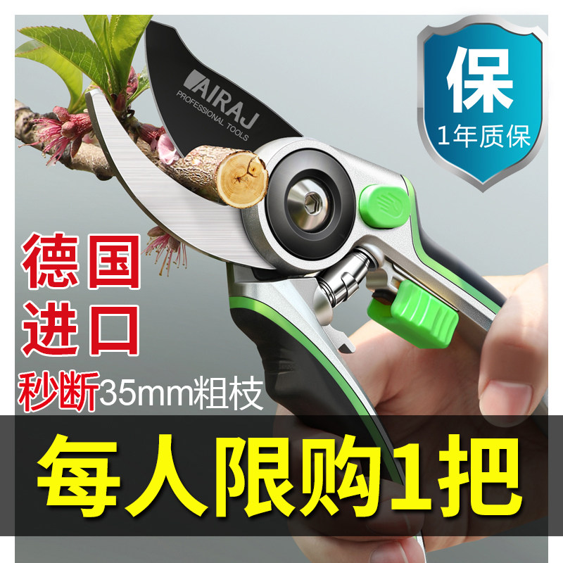 日本进口修枝剪园艺专用剪刀德国园林不锈钢修花果树省力花卉花剪