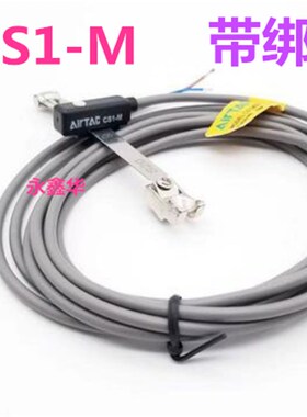 CS1-M专用不锈钢绑带S10 S12 S16 S20 S25 S32 S40 S50 S63 S6 8