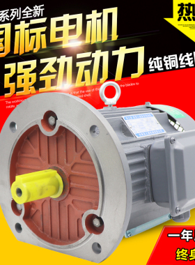 YE2三相异步电动机380V铜线电机0.55/0.75/1.1/1.5/2.2/3/4KW调速