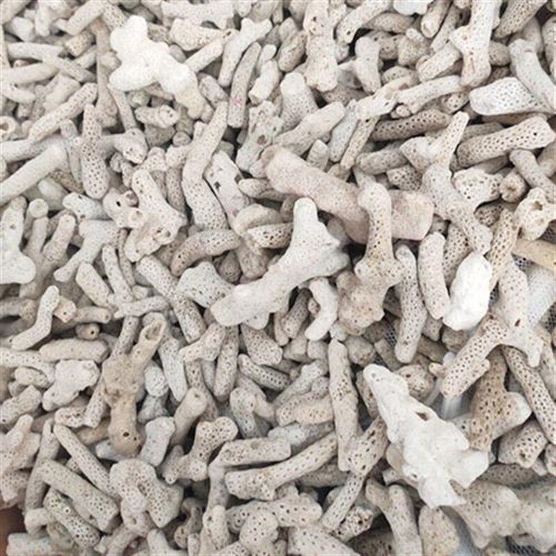 送网袋珊瑚砂珊瑚石活性碳珊瑚骨水质PH值鱼缸造景底沙过滤材料图片