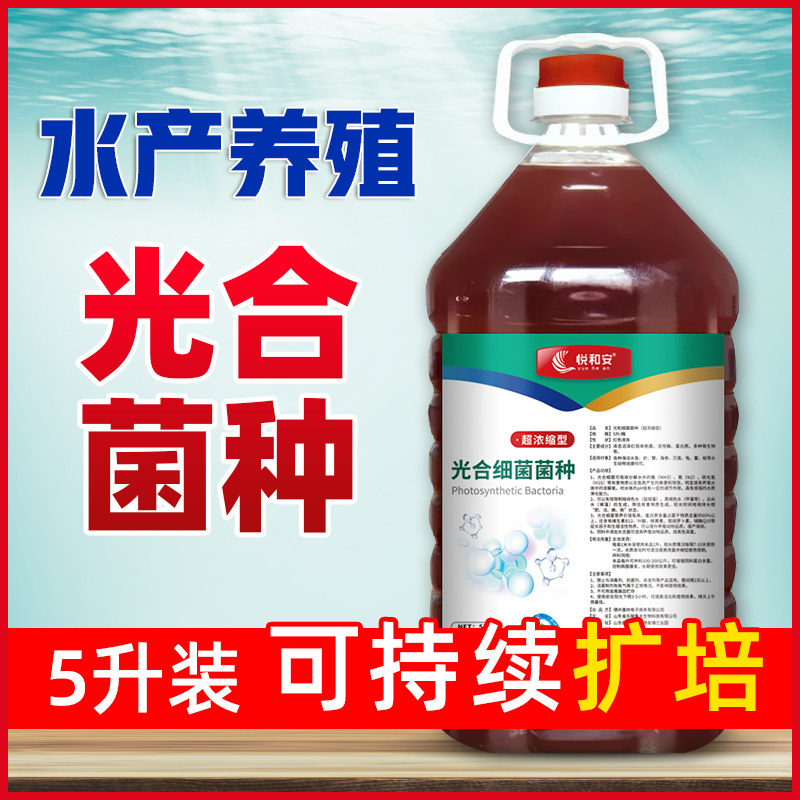 光合细菌水产养殖通用虾蟹EM菌改底调水菌种母液调水质ph值降氨氮