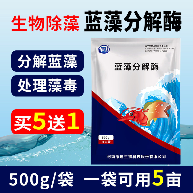蓝藻分解酶分解素鱼虾蟹塘水产养殖专用速灭蓝藻净鱼池生物除藻剂