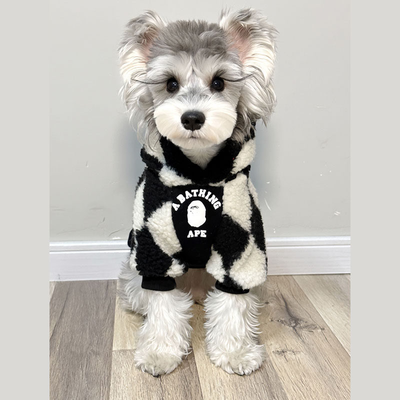 宠物猫咪狗狗衣服 春秋纯棉棋盘格拼色连帽运动衫 中小大型犬衣