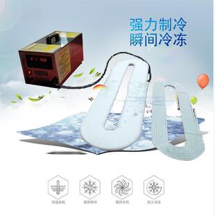 携式尸体防腐冷便冻器手155提棺豪死华冰人冰冻机殡葬水晶棺