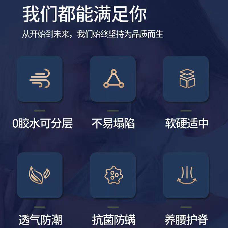 床垫椰棕棕榈硬垫1.8米1.5软垫出租房家用可折叠经济型席梦思床垫