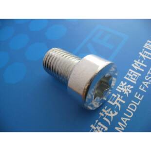 内六角梅花孔圆柱头螺钉GB T6190