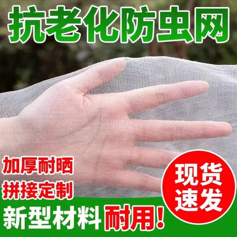 防蚊网防虫网养殖场专用大棚尼龙网防虫纱网防虫网加密加厚厂货源