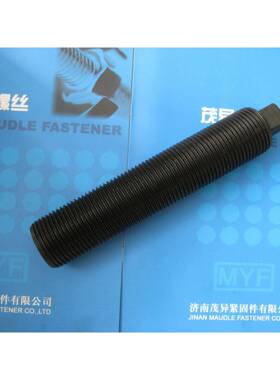 BT型双头柱HG5/T螺2173.21JMV-995