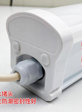 LED冷库专用FTS灯20冷藏场库防水防潮灯超商健身房20市W照W明灯具
