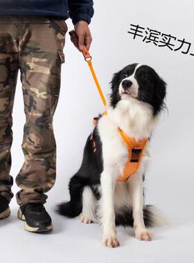 狗狗牵绳胸背体一可引伸缩遛狗绳中型大型犬宠物背心式背防带丰滨