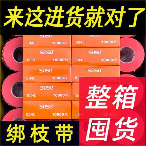 番茄PVC枝束机胶带机器西葡红柿萄结捆绳圣女果JXSZX80-磨绑砂专