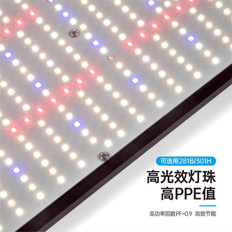 跨LED全光植物境长灯GCH补光灯量子板120W生2谱40W大棚室内花架种