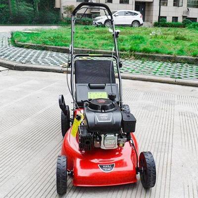 小型工厂草坪手推式草修剪机机公园自16寸/18走式剪除草园果荒地