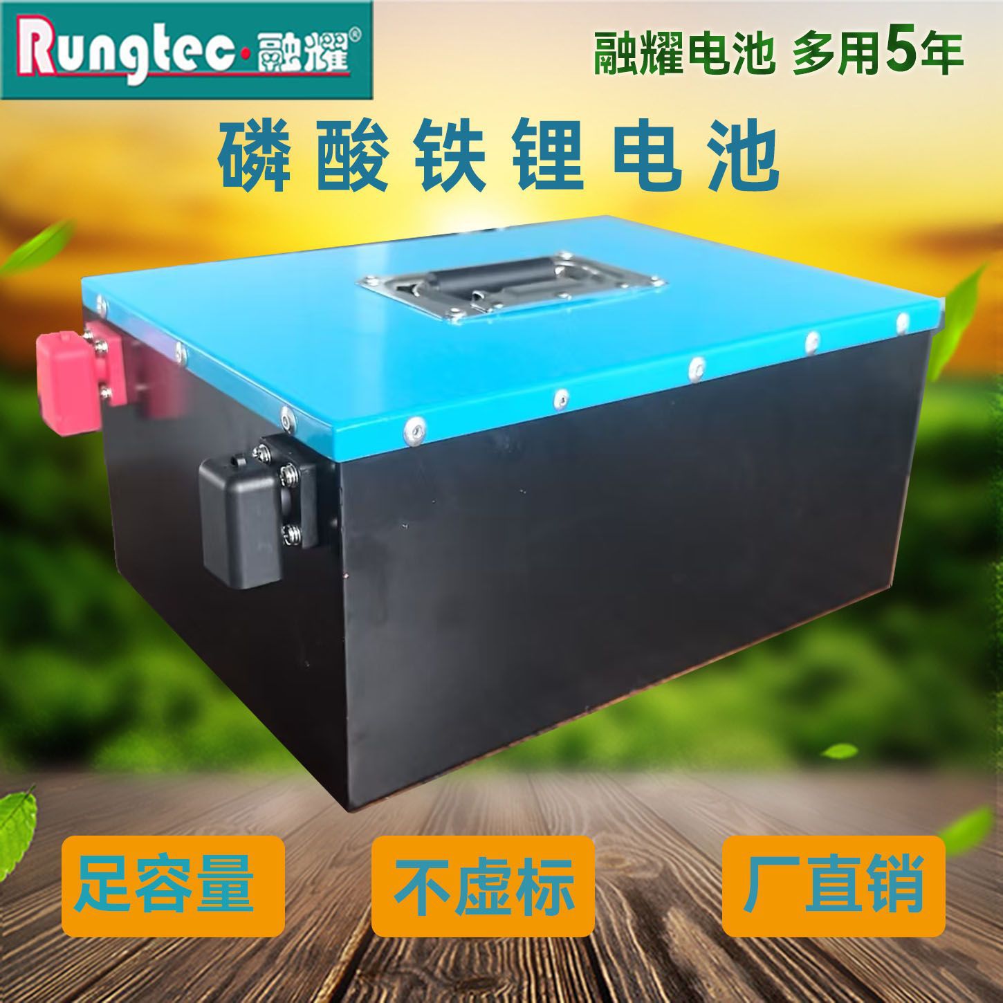 48V60Ah铁锂电动车电池