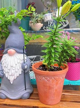 境跨2cm5甘道FIY夫精景灵摆件小矮人花园庭院户外装饰霍比特人名