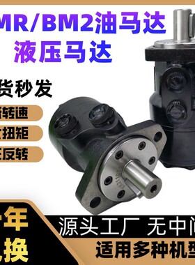 油马达BMR-50 80 100 160 200 250 315 400 500模具液压摆线马达