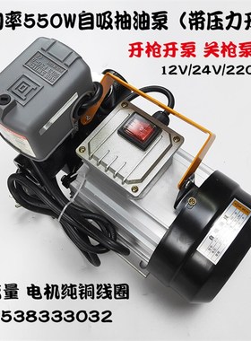 电动抽油泵12V24V220V大功率550W柴油泵大流量自吸泵齿轮泵加油机