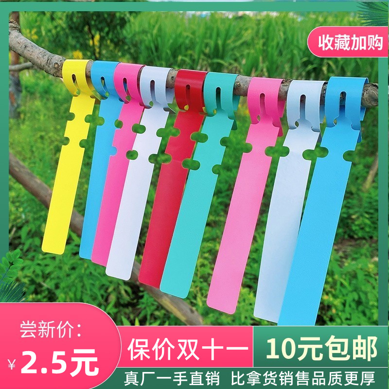 宏荣PVC防水环套标签花卉植物园艺标签塑料兰花标签苗木花王标签