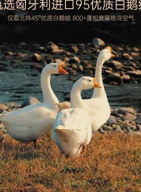 结婚羽绒被95白鹅绒被芯u婚庆加厚保暖喜被送礼陪嫁冬被红色春秋