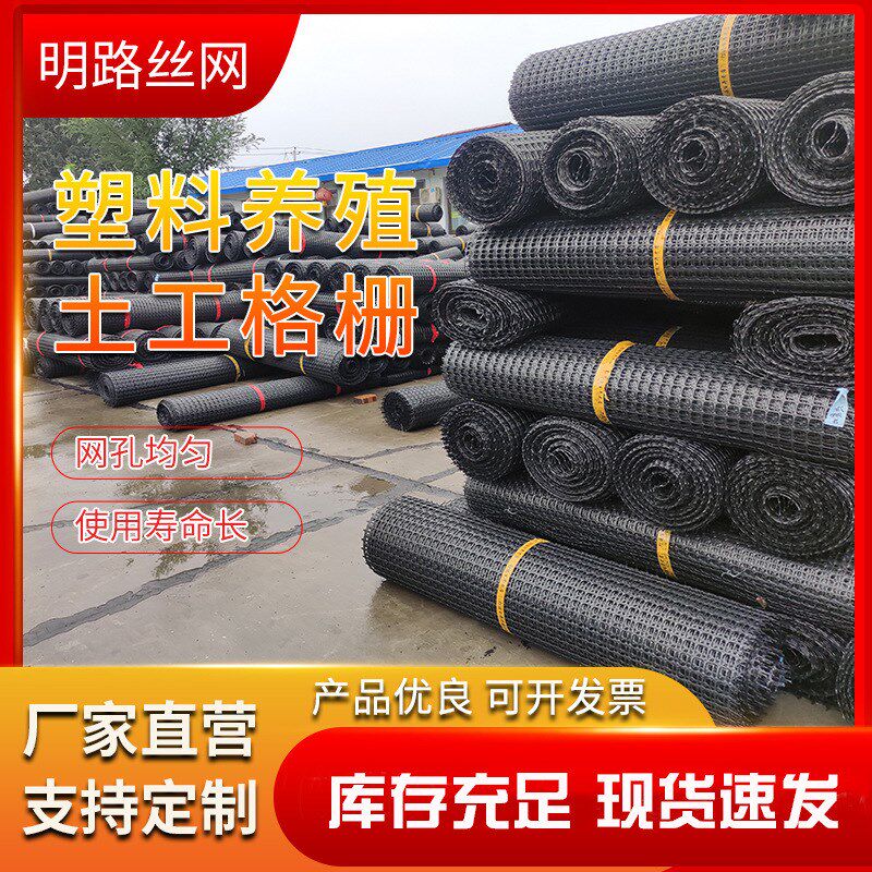双向拉伸黑色塑料网 小孔网养鸡鸭网户外围栏P网 路面加筋土工格
