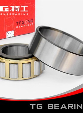 特工TG单列圆柱滚子轴承NJ2319EM 42619EH内径95外径200厚度67mm