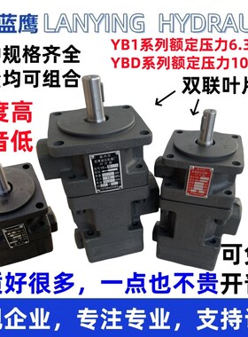 YBD-2.5/4/6/10/12/16/20/25/32/40/50/63/100双联80叶片油泵YB1