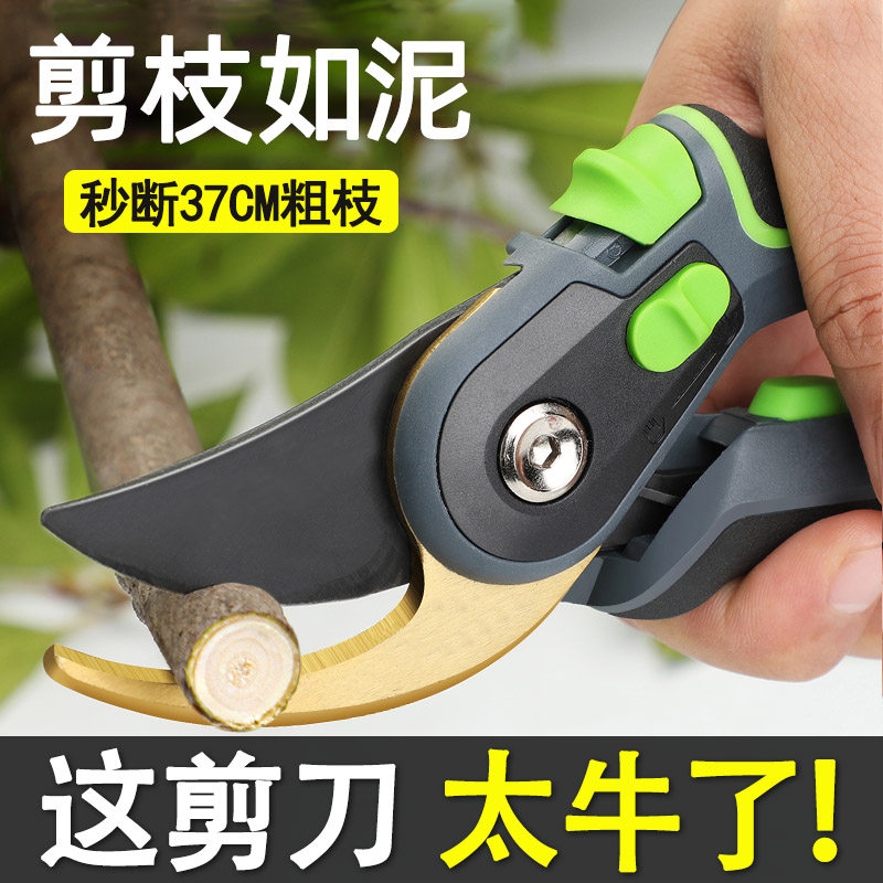 德国进口艺园剪刀剪树枝专用修枝剪园林剪子修花园艺果树省力家用