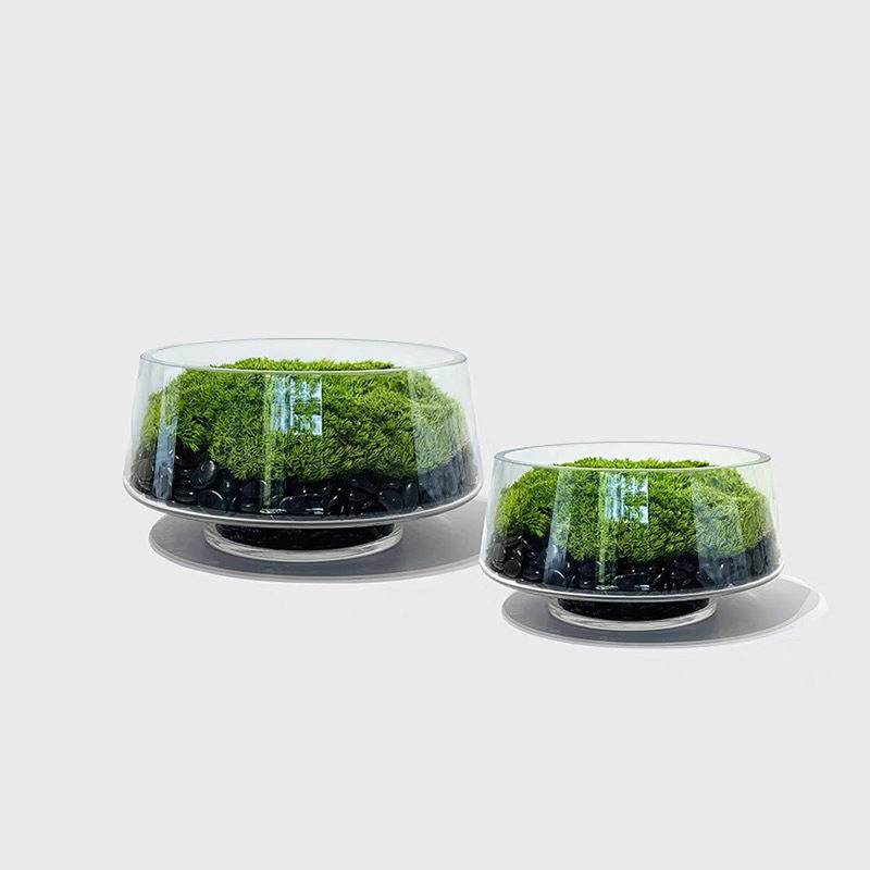 简约风永生苔藓盆景摆件餐桌洽谈桌茶几酒店样板房桌面装饰花绿植