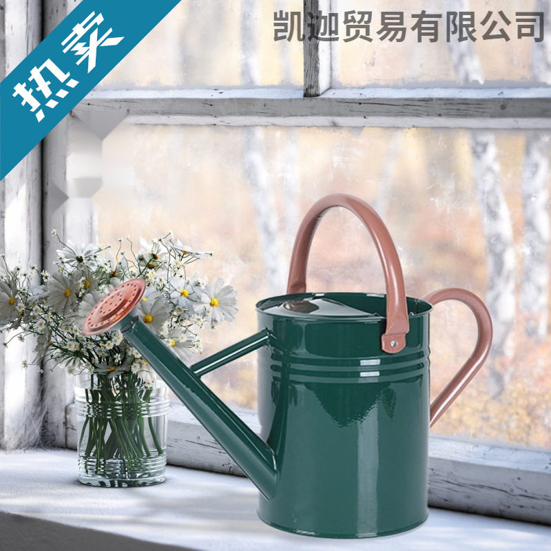 欧美高品质洒水壶浇花壶两用4L