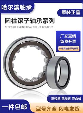 哈尔1滨RUA圆柱滚子承NNUNJ31231331431531637/318EMC3/轴C4