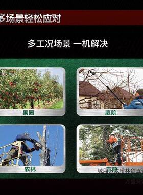 大动修枝剪锂果树果QQC园剪有枝修剪电充电式园艺园林电高枝剪455