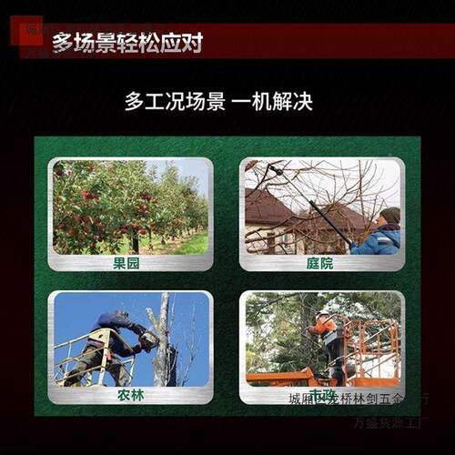 大动修枝剪锂果树果QQC园剪有枝修剪电充电式园艺园林电高枝剪455