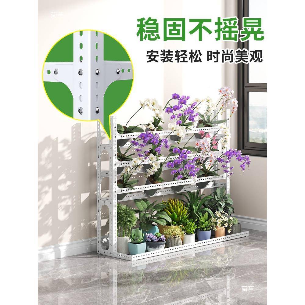 角钢蝴蝶兰花架置物架移动兰花室层内家外架tlznj#$*由子用多落地