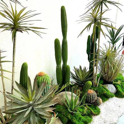 新款仿摩真仙仙人掌漠1102-11绿植造景组合沙洛哥大人柱仙人球橱