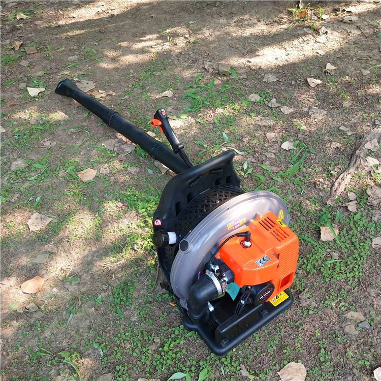 汽油四冲程手持式吹风机 苗圃大棚快速吹雪机 便携式风力吹风机