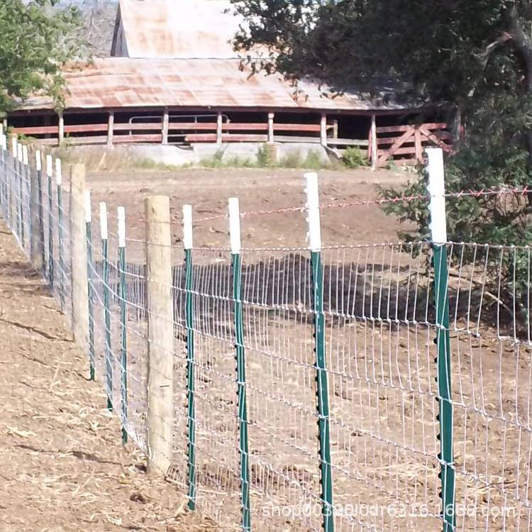 镀锌热铁栏丝鹿网圈地牛栏网-1养羊原草网护网Y型立柱养殖网