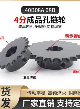 米4分08B链轮VLF02/SP40B08A链轮齿轮10/11/12/15/16/18/20/25齿