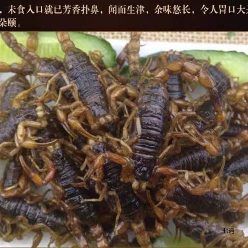 [正常发货]油炸蝎q子活蝎子十足全蝎现炸现发3种口味
